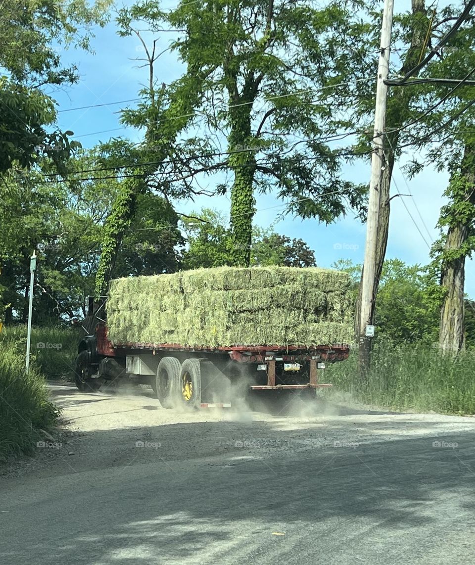 Hay stack 