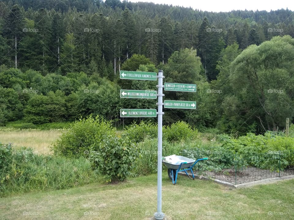 Schwarzwald