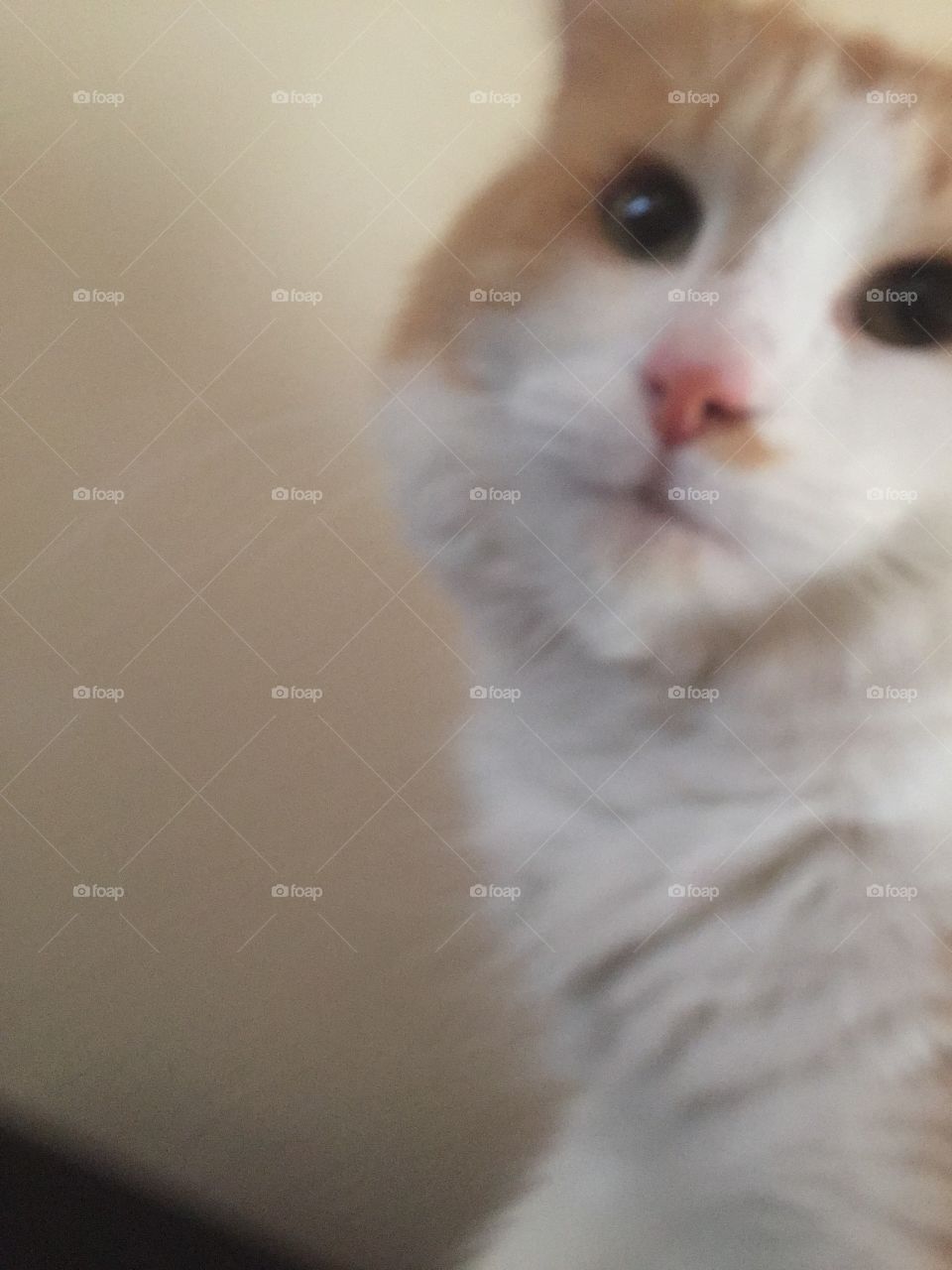 Ready for my close up