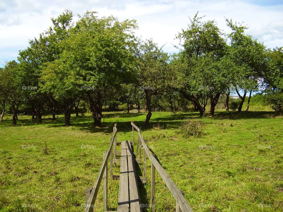 A walk in the woods in Blekinge