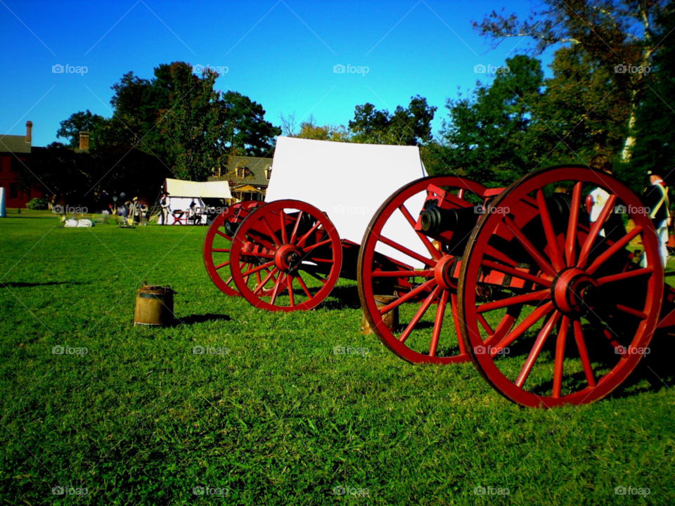 red grass trees historical by stevehardley7