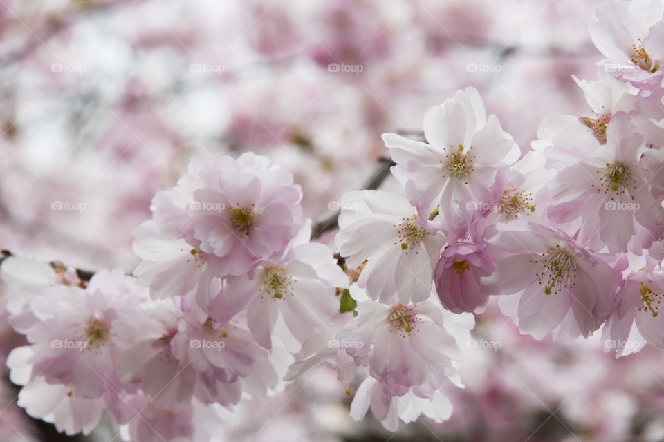 Water in front of New York city