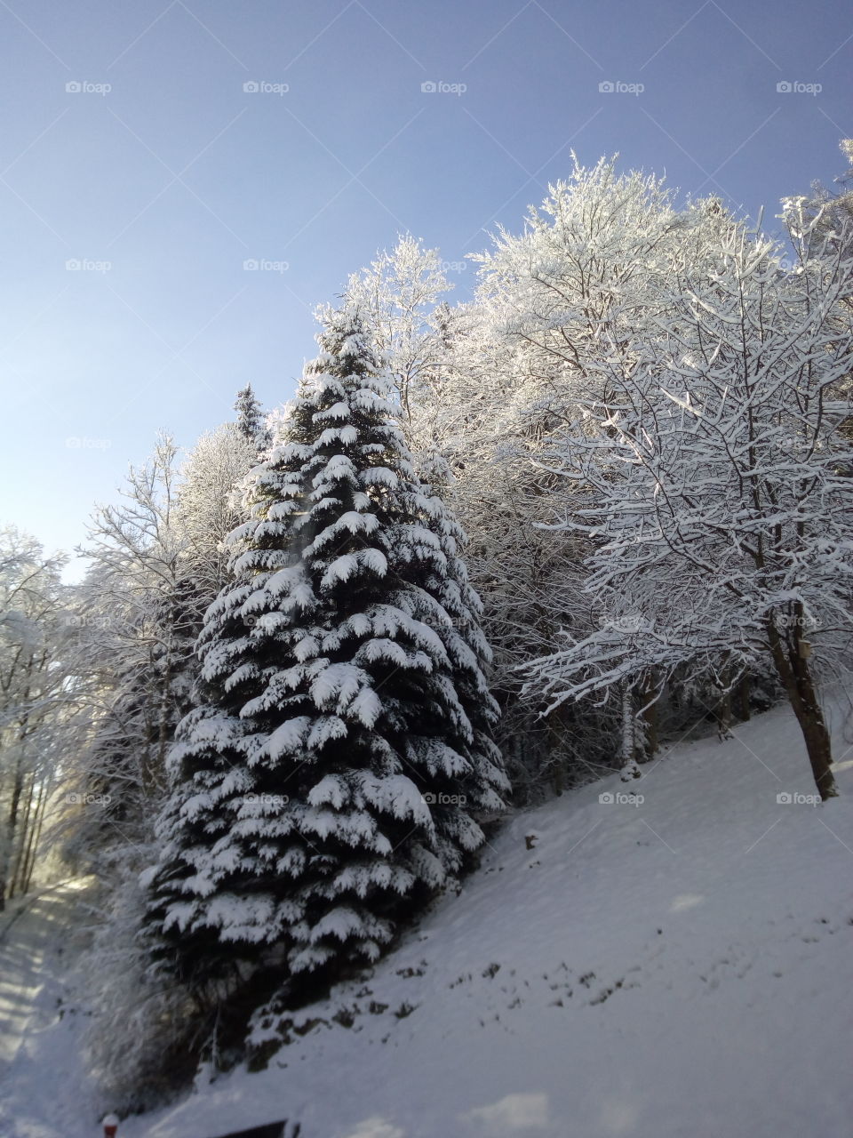Bad Wildbad in winter