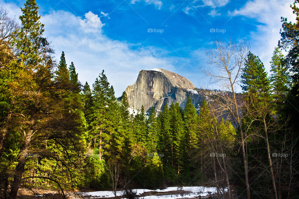 Half dome in Yosemite national park