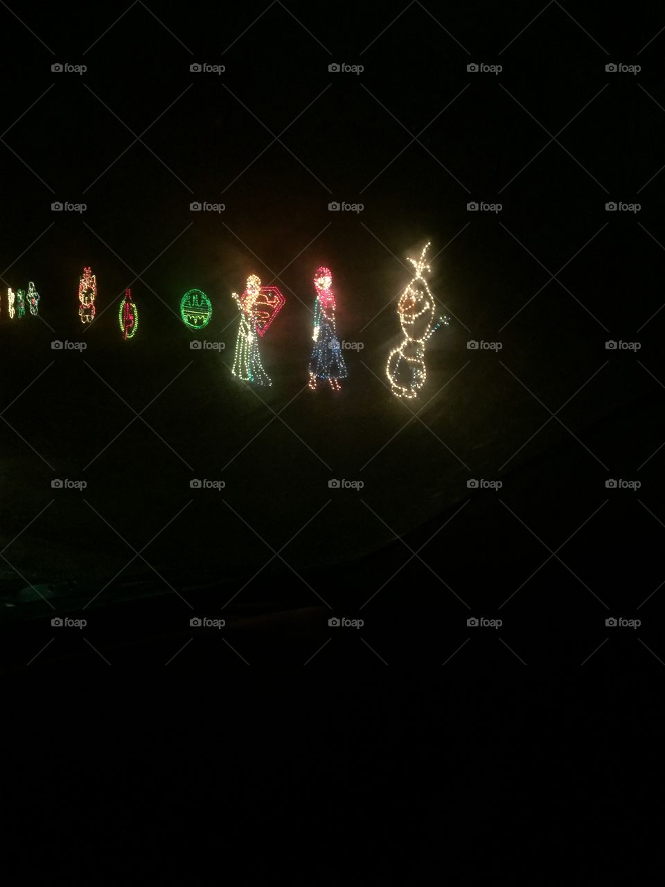 Frozen Christmas lights 