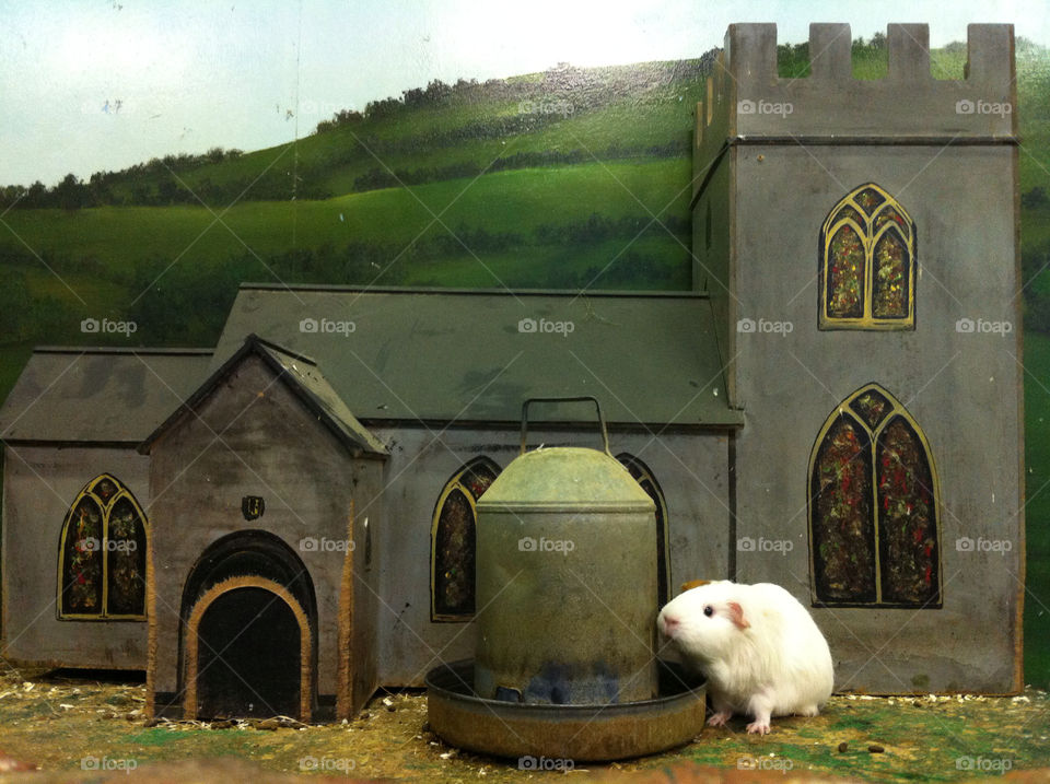 church village pig miniature by cudders85