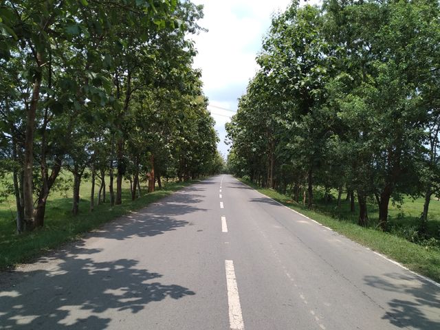 Hata-Musabani Road