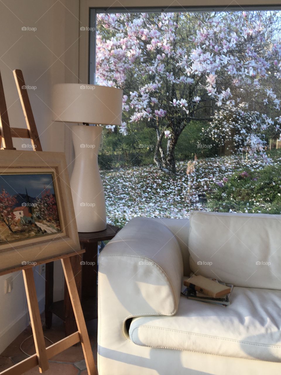 Spring Morning at home