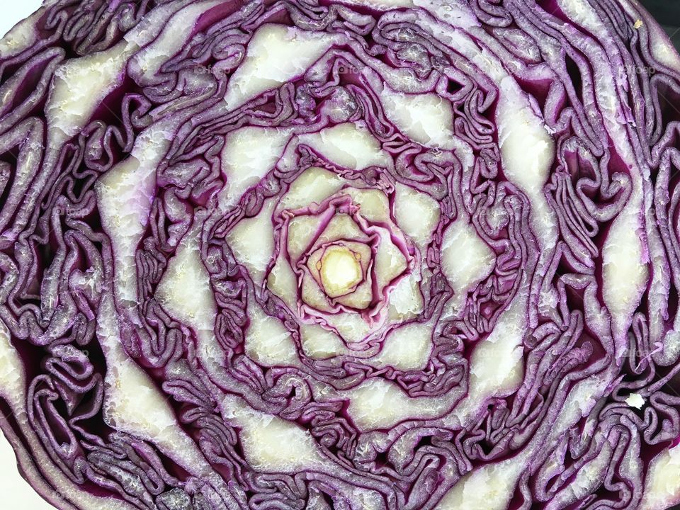 Abstract Mission ... sliced red cabbage 