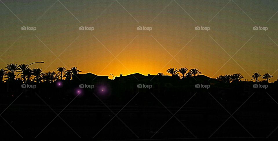 skyline from the highway