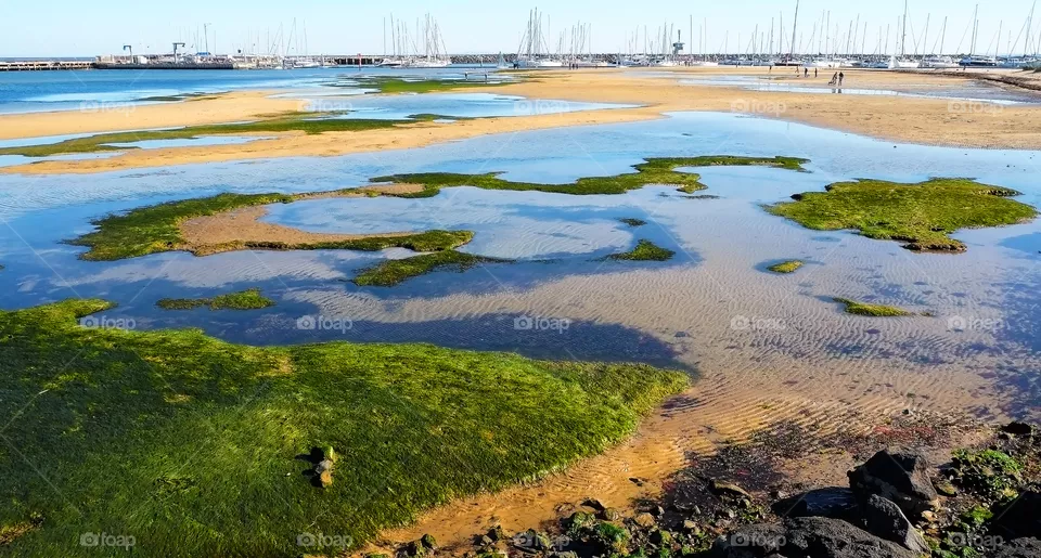 Charm of the shallows