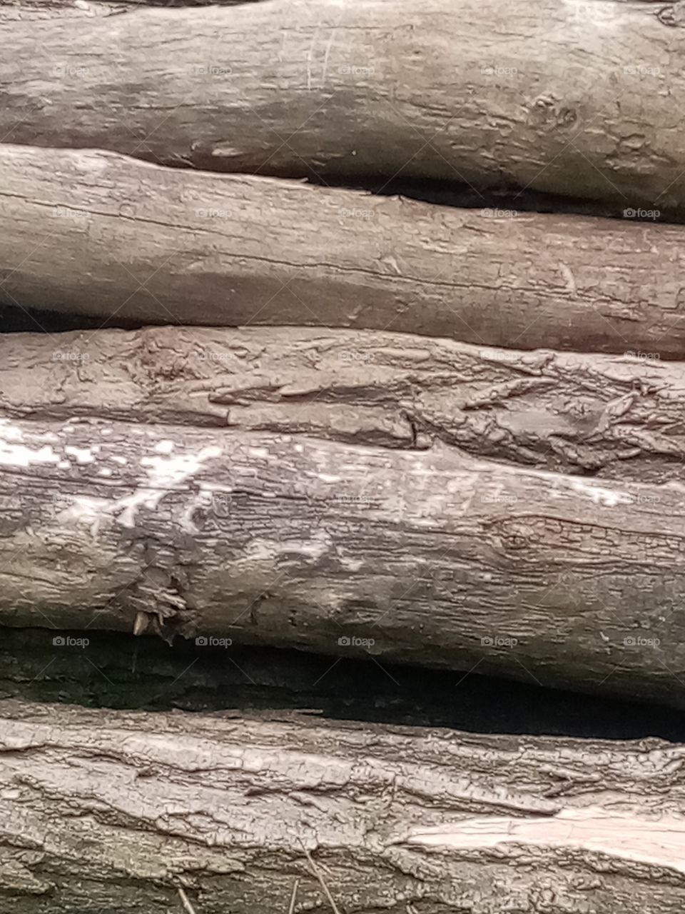 Wood