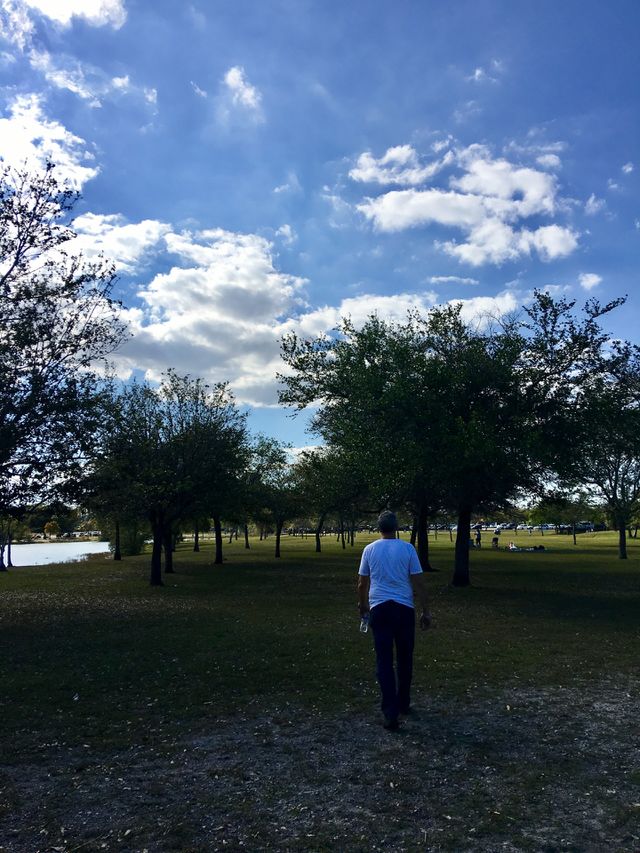 I walk alone