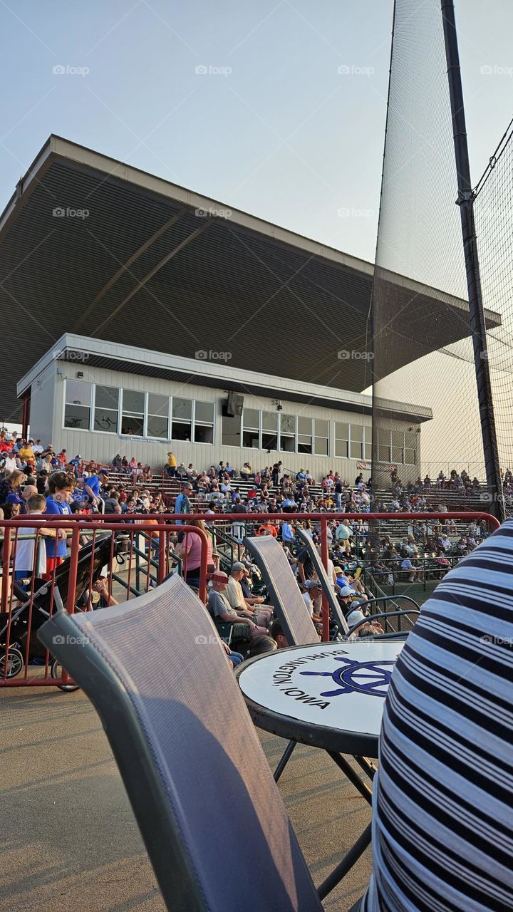 crowd at the ballpark
