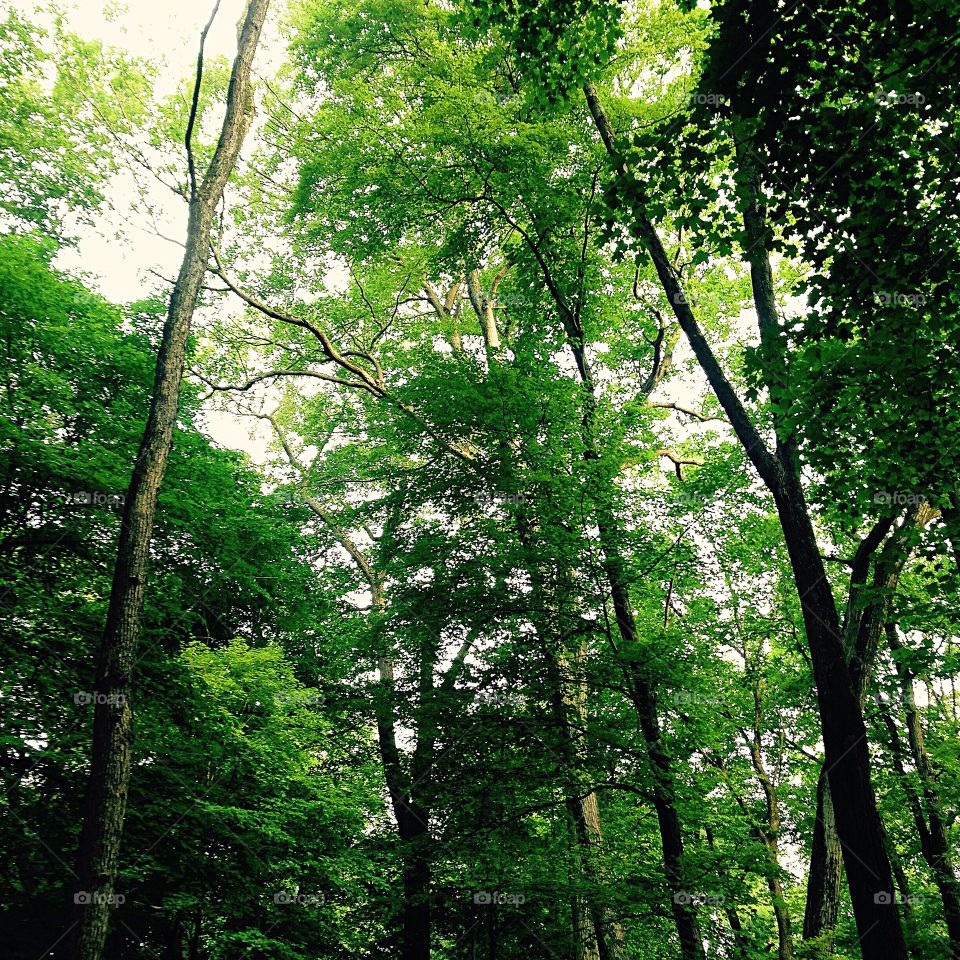 Look around. You never know what you will find. 