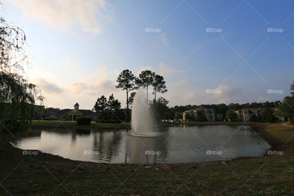 Tree, Water, No Person, Lake, Landscape