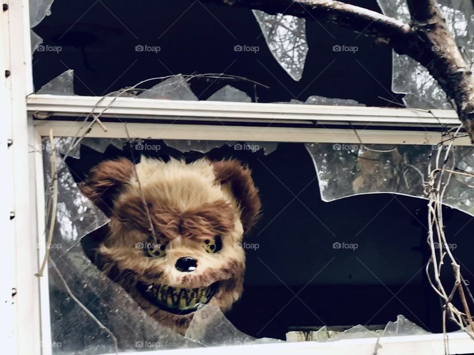 Scary teddy bear in a broken window
