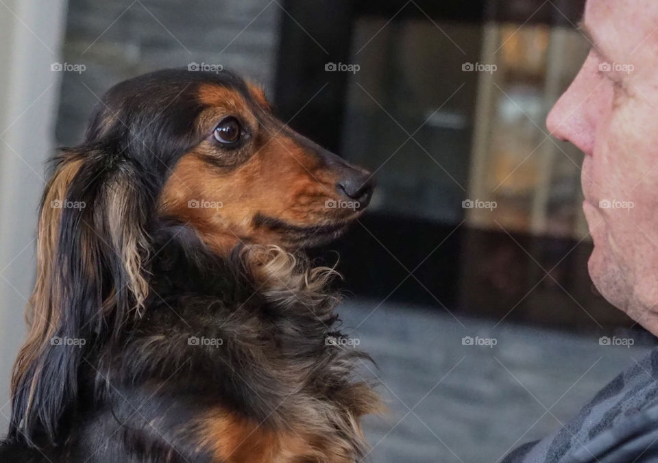 Friendship between man and dog. 