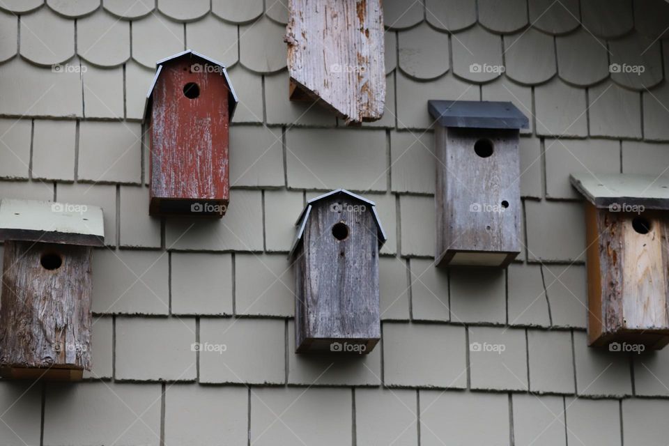 Bird houses hanging on a wooden wall