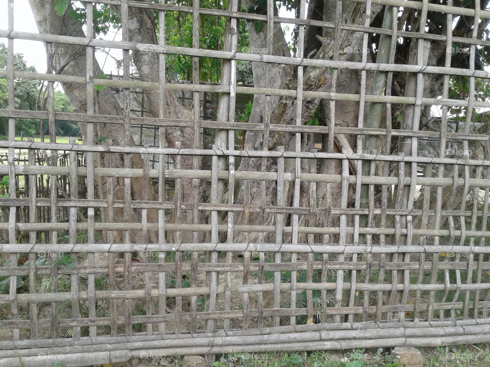 fence