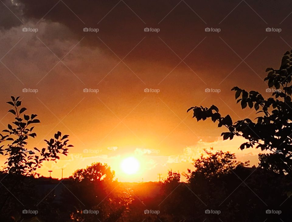sunset over the field