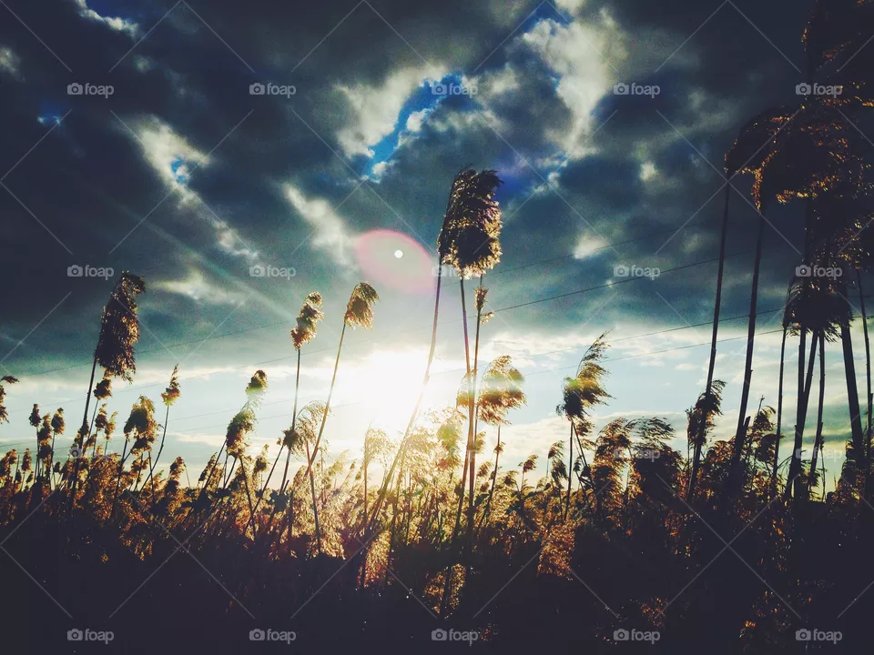Sunset, Sky, Sun, Nature, Dawn