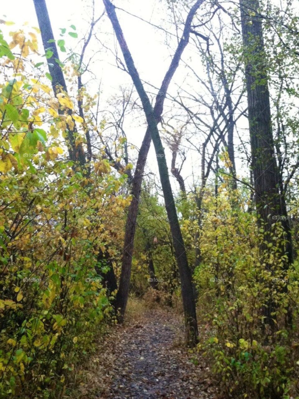 Nature walks in fall
