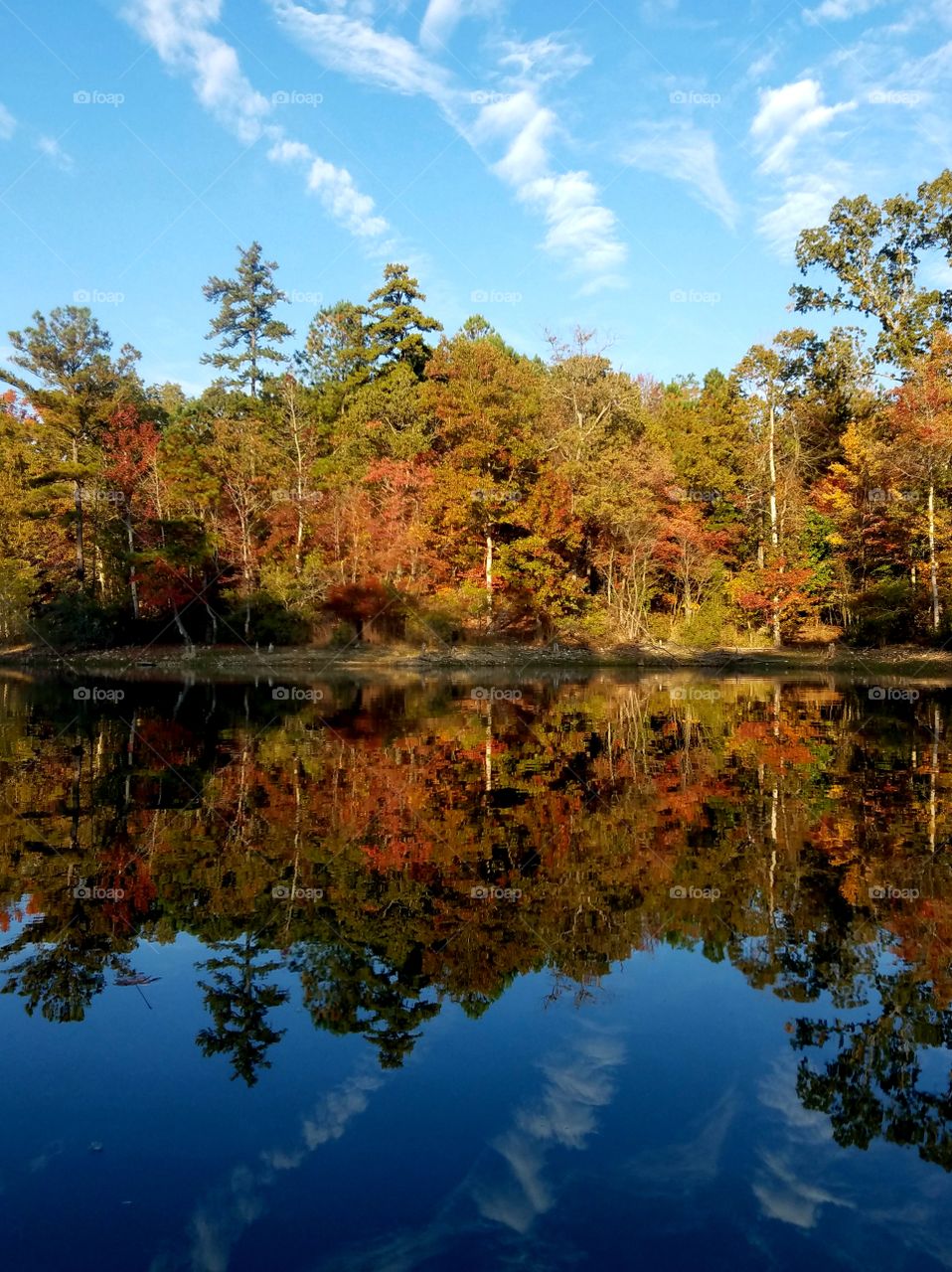 Reflections on lake during fall.