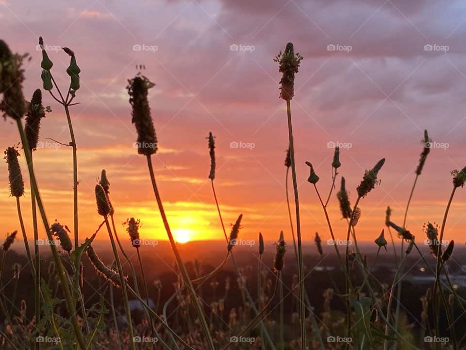 Sunrise after night shift 