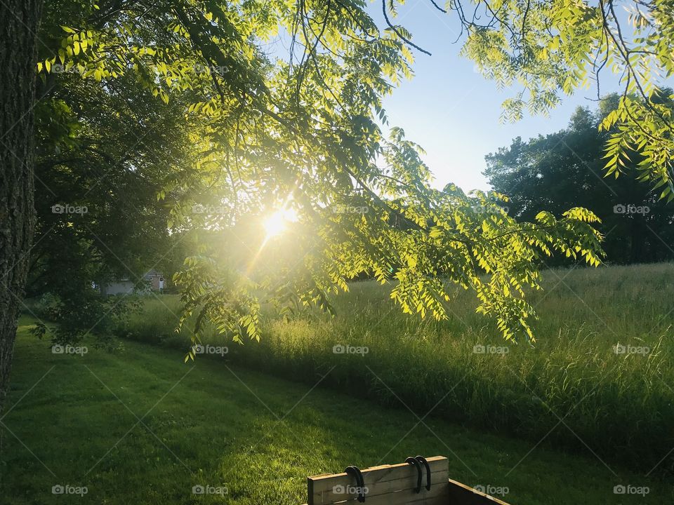 Gorgeous sunset with sun shining through tree branches, beautiful grassy field and fun horse shoe pit. 