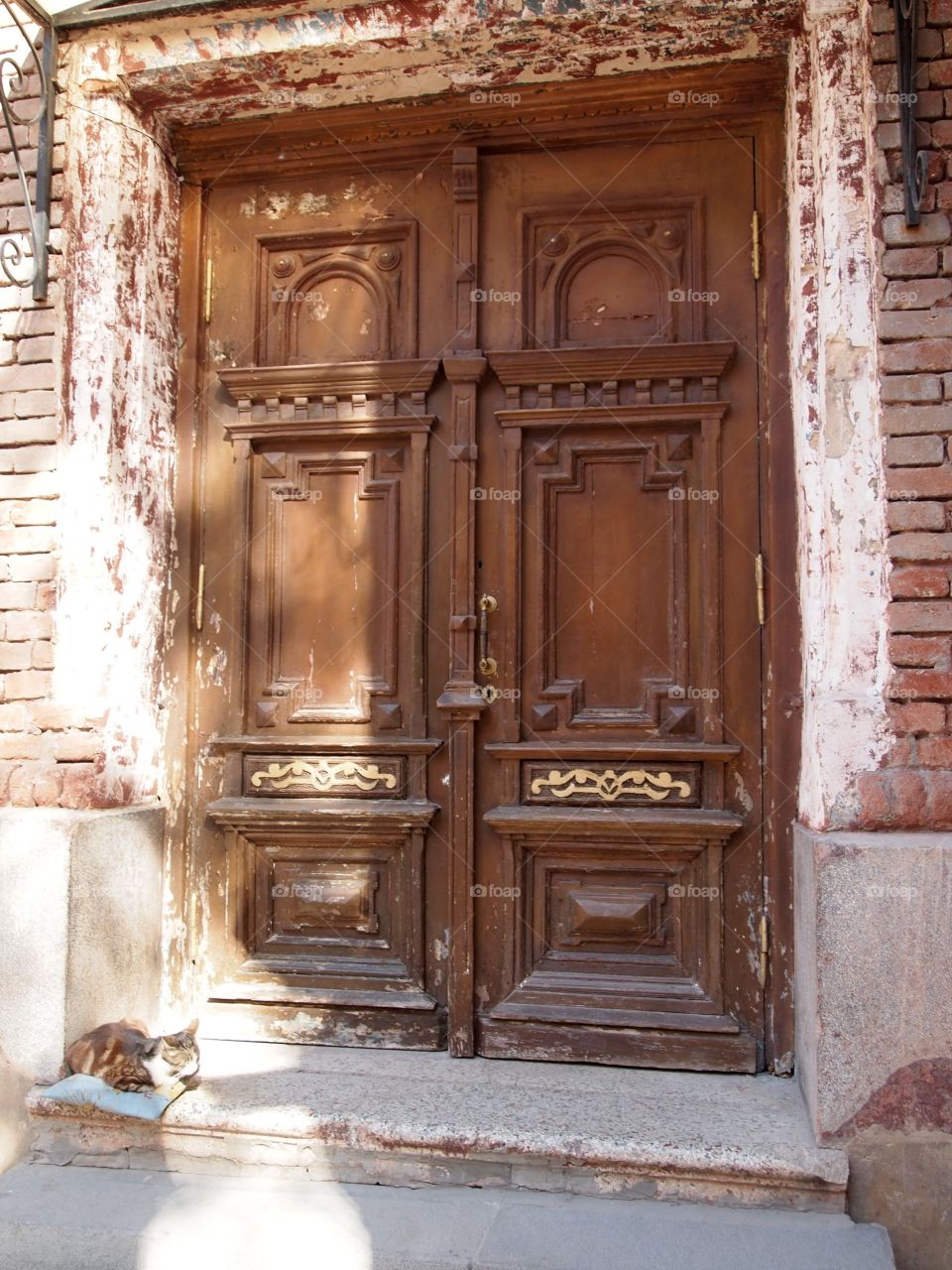 An old door and a cat 