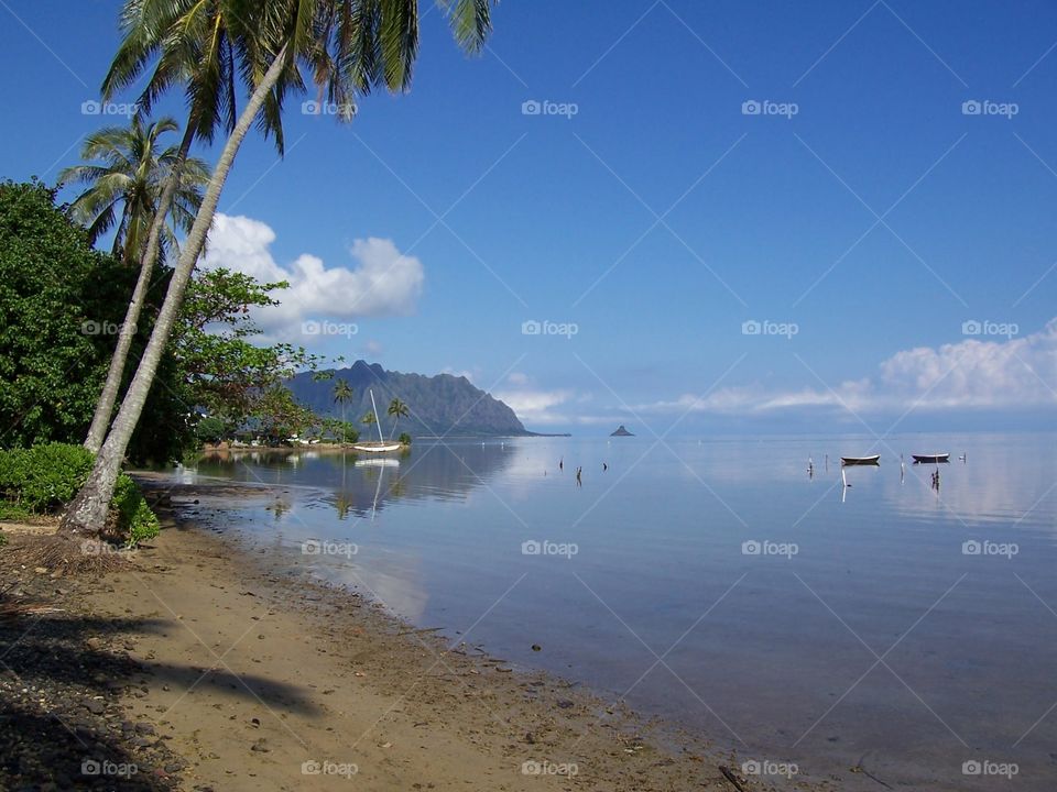 A Tranquil bay in the Tropics. Sailboats moored in a placid bay.