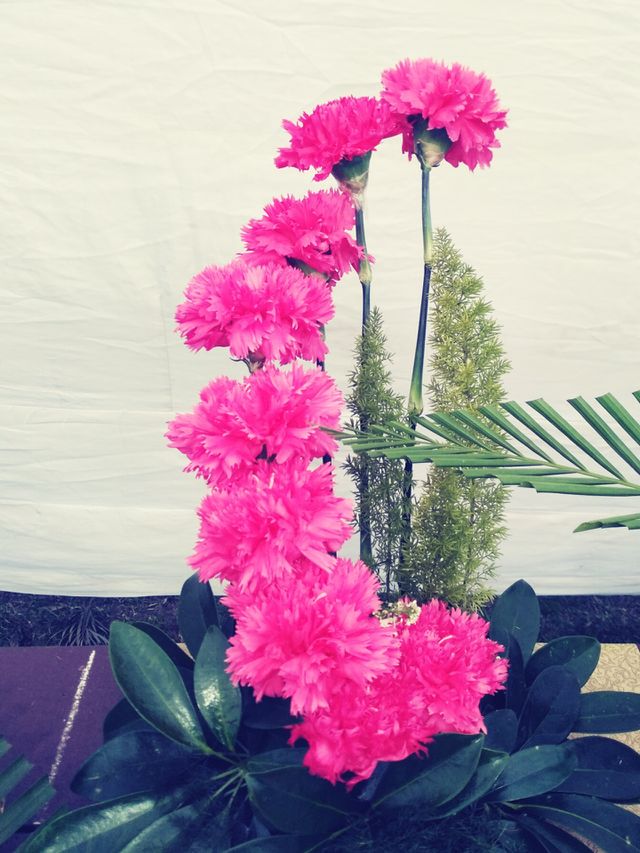 Flower Craft
