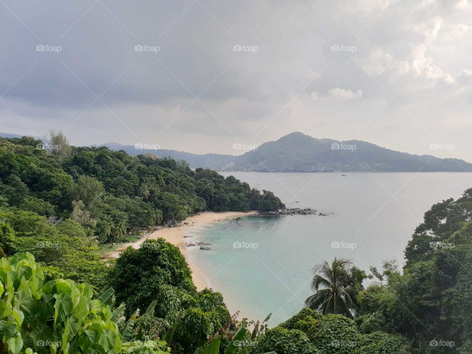 aerial view of island full of vegetation