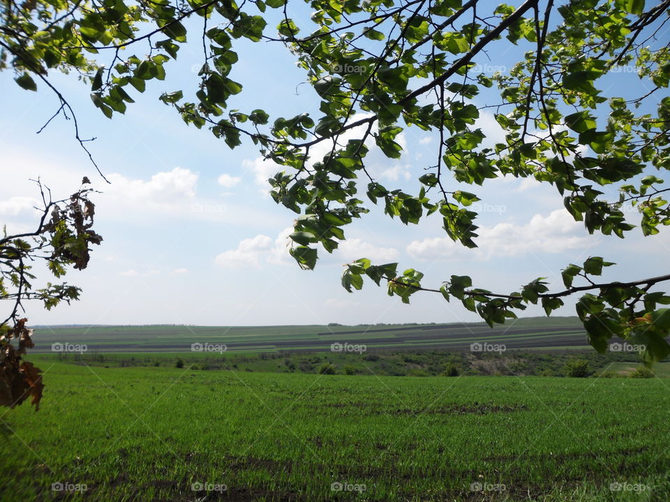 Beautiful rural life