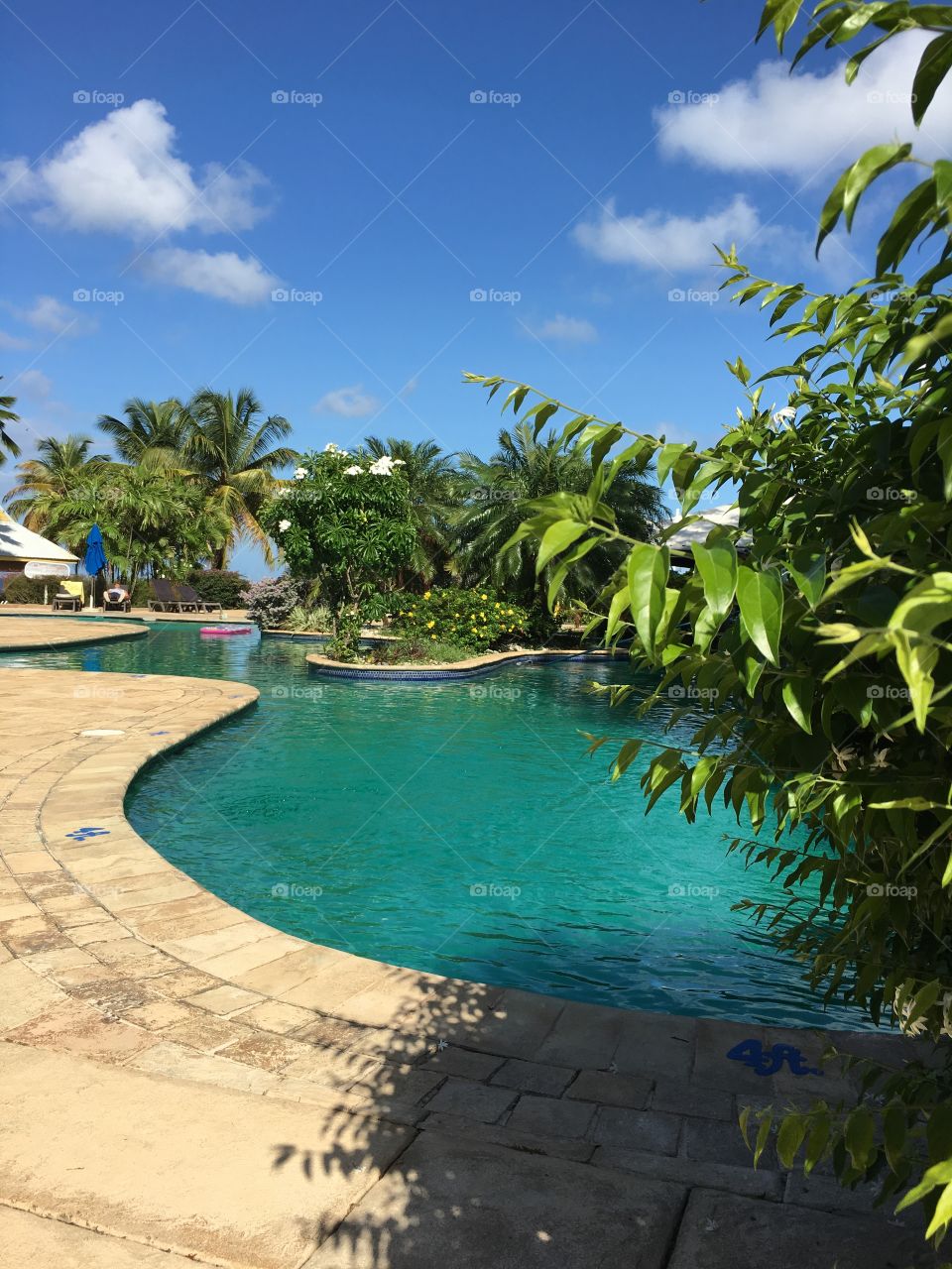 Poolside 