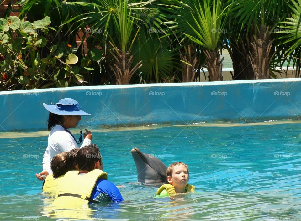 Swimming With Dolphins
