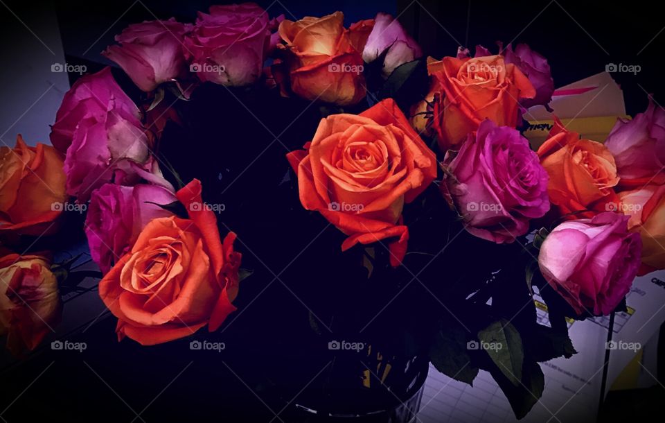 Rose, Love, Flower, Celebration, Gift