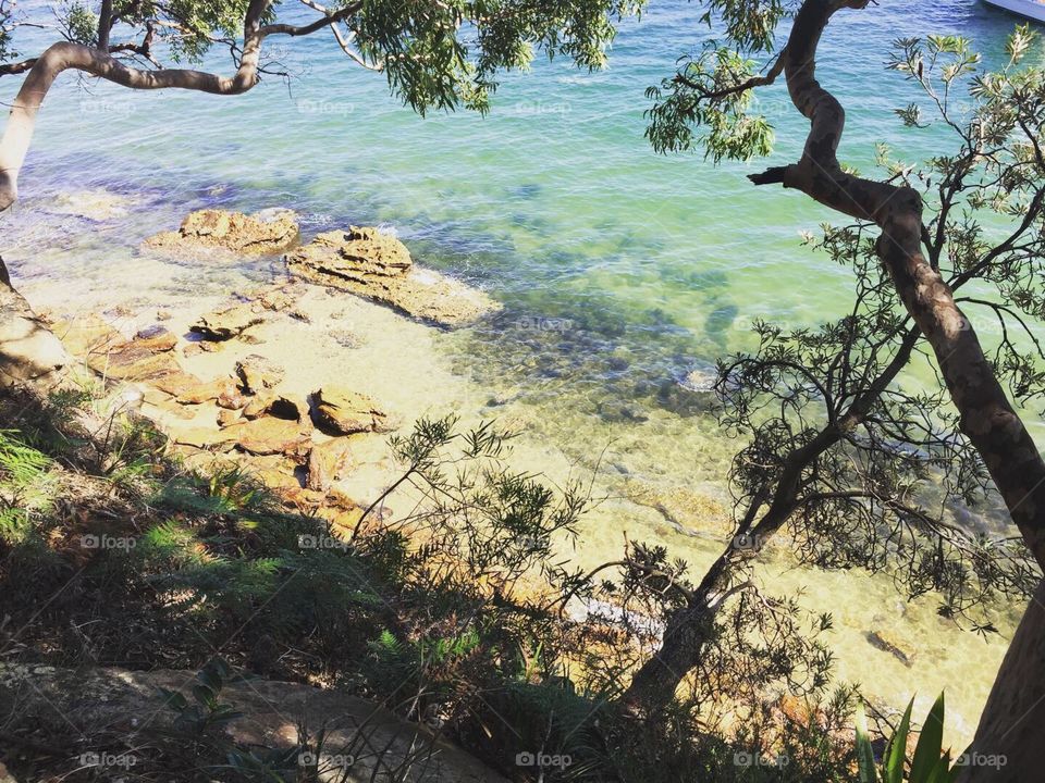 Sydney beautiful beach