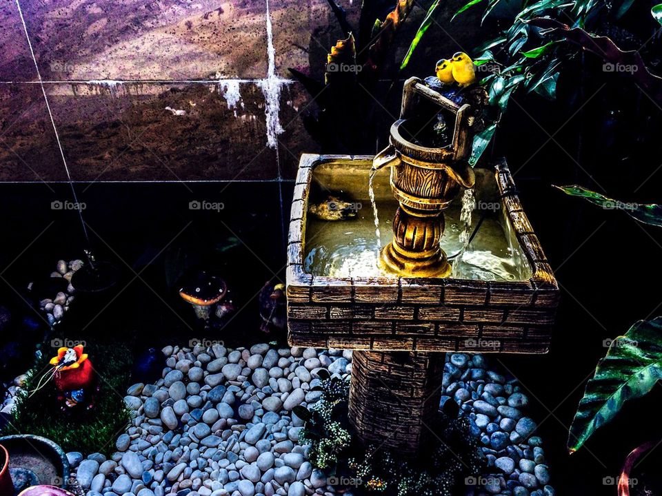 A beautiful interior mini garden