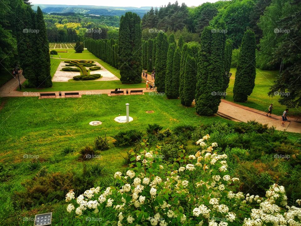 From up to above feet legs mountains hills field nature view eco focus day part sun sunny travel Light reys trip form plant part shades shape beauty greens outdoor freedom happy happiness garden Park Green Day sunny