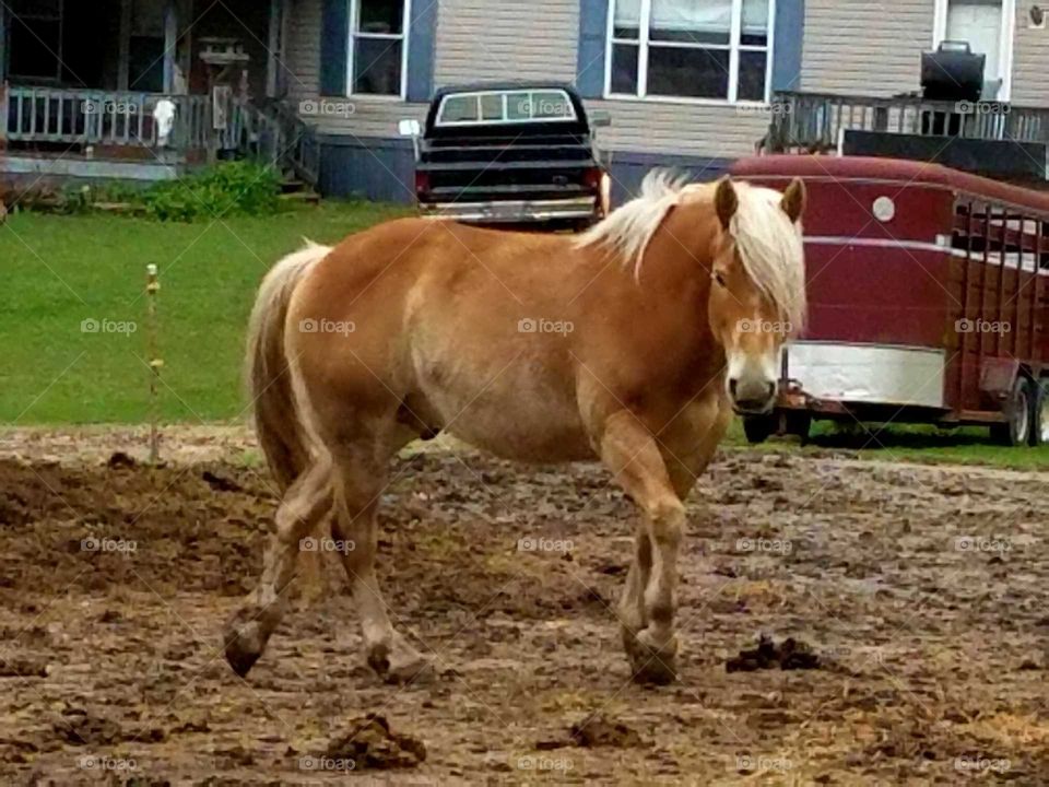 Driving the Back Roads and enjoying everything around us