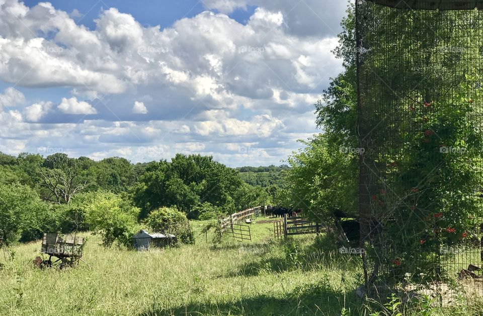 Iowa Farm 