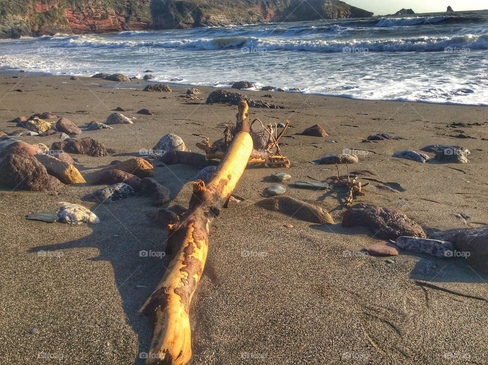 Drift wood 