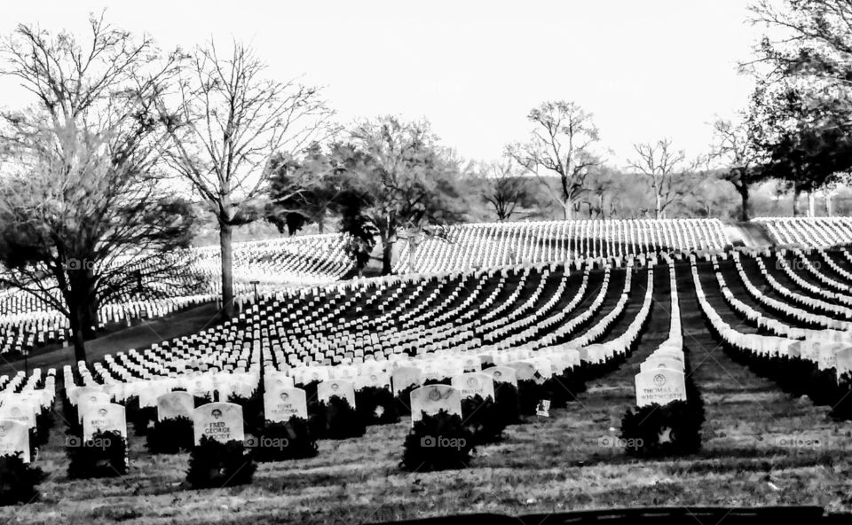 black and white military cemetery