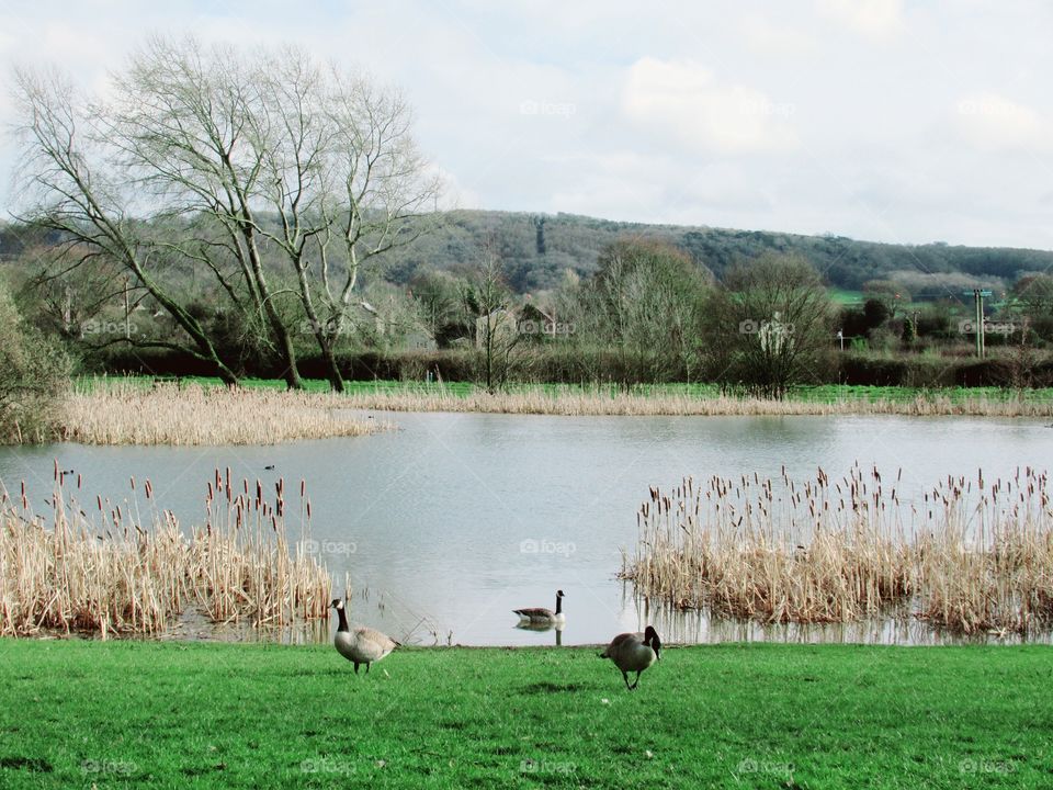 Lake in early spring