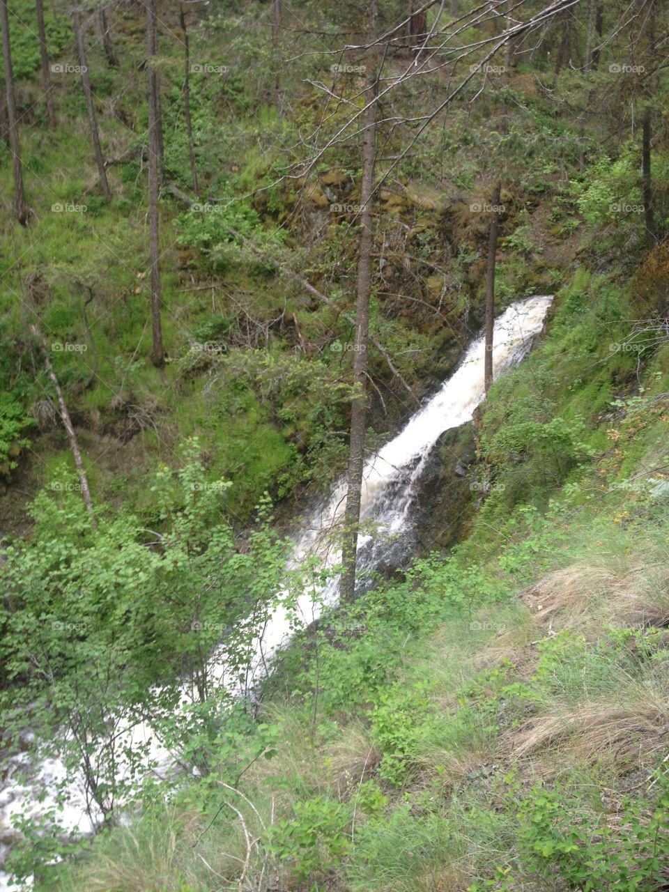 Scenic view of a waterfall on a hike! 