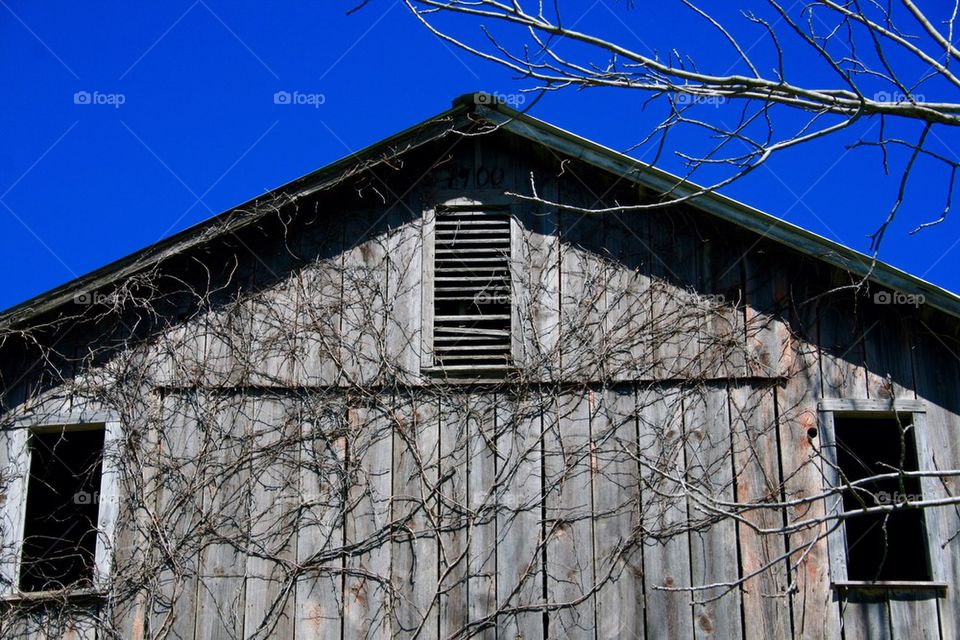 1900 Barn