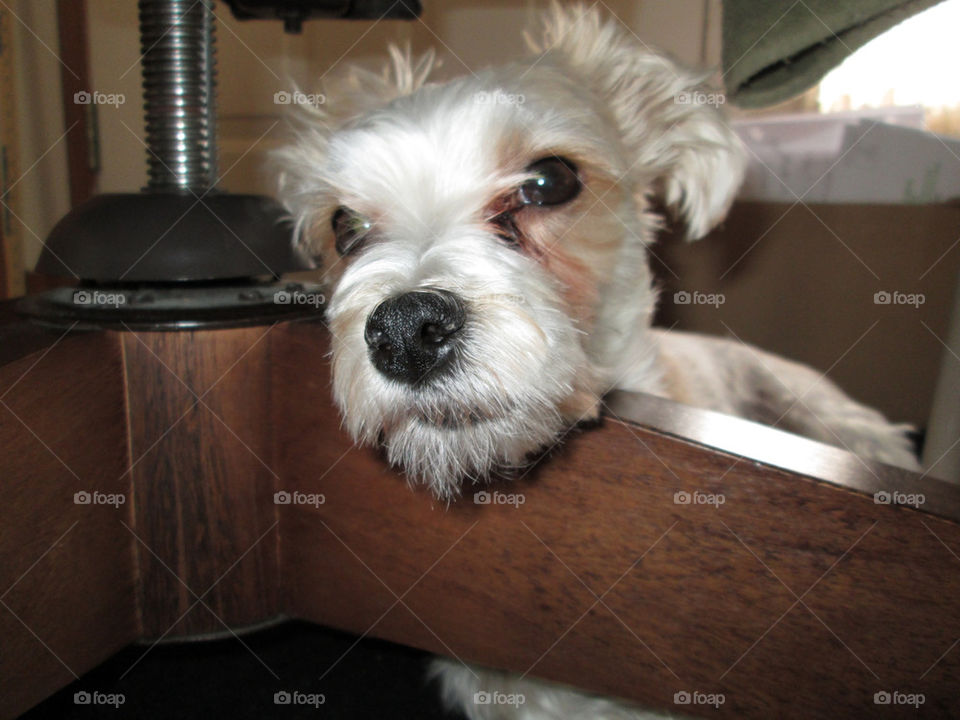 Ready For My Close Up!