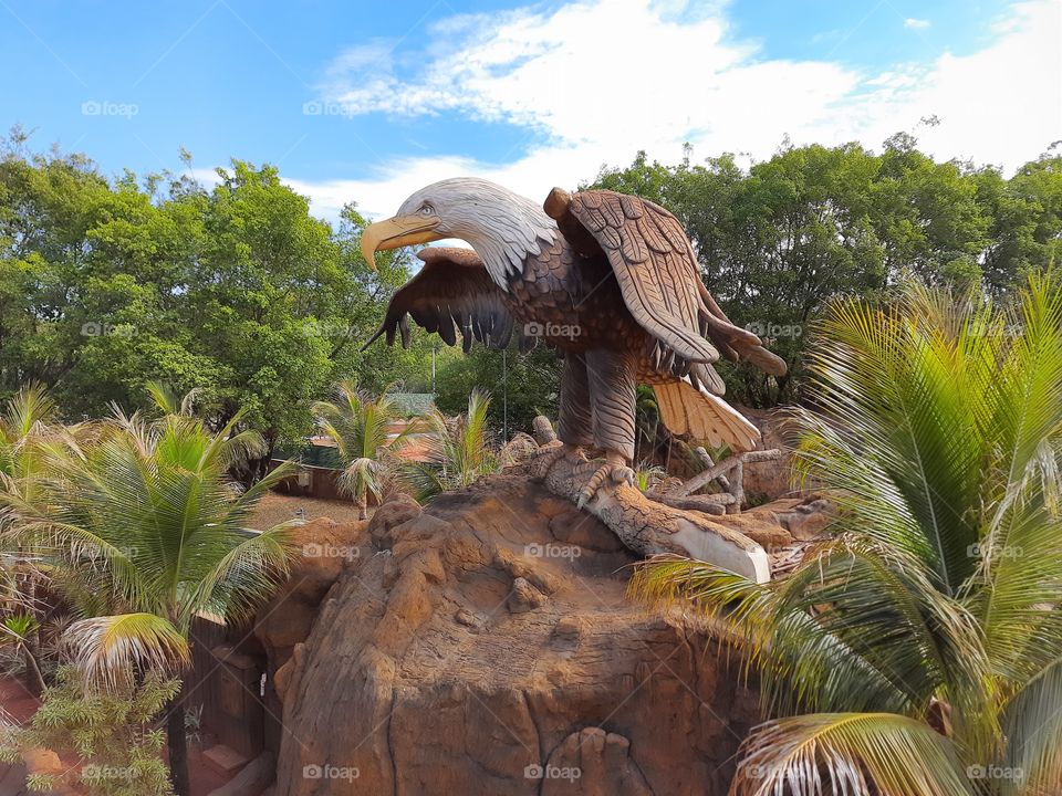 eagle and nature at Thermas do orange groves
